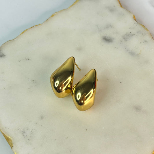 Bottega Earrings