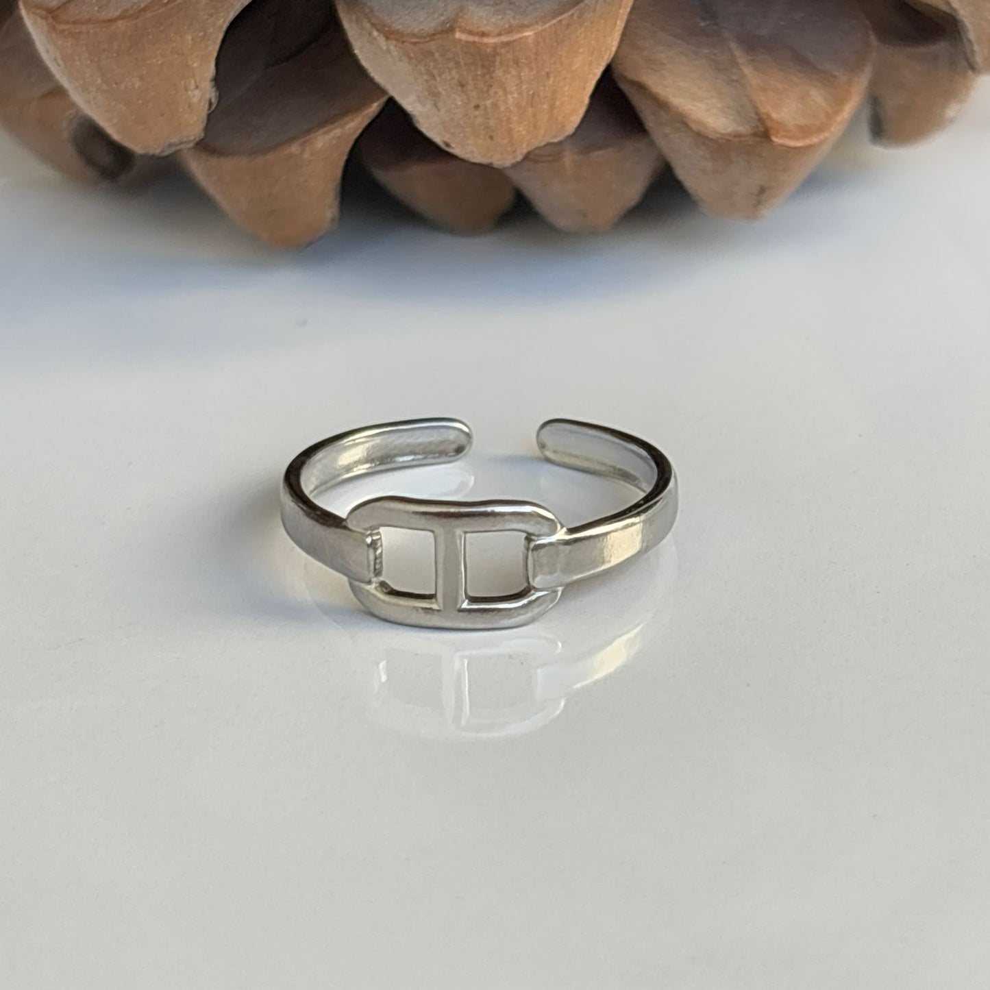 Girdle Silver Ring
