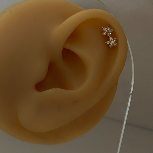 Double Star Earrings