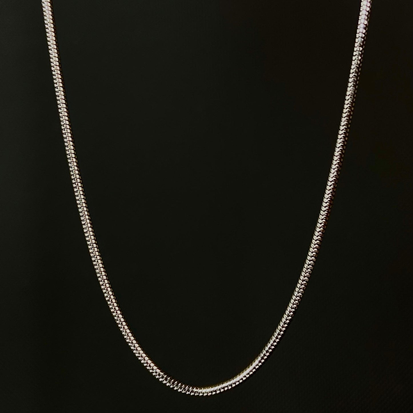 Snake Silver SST Men's Chain 2mm