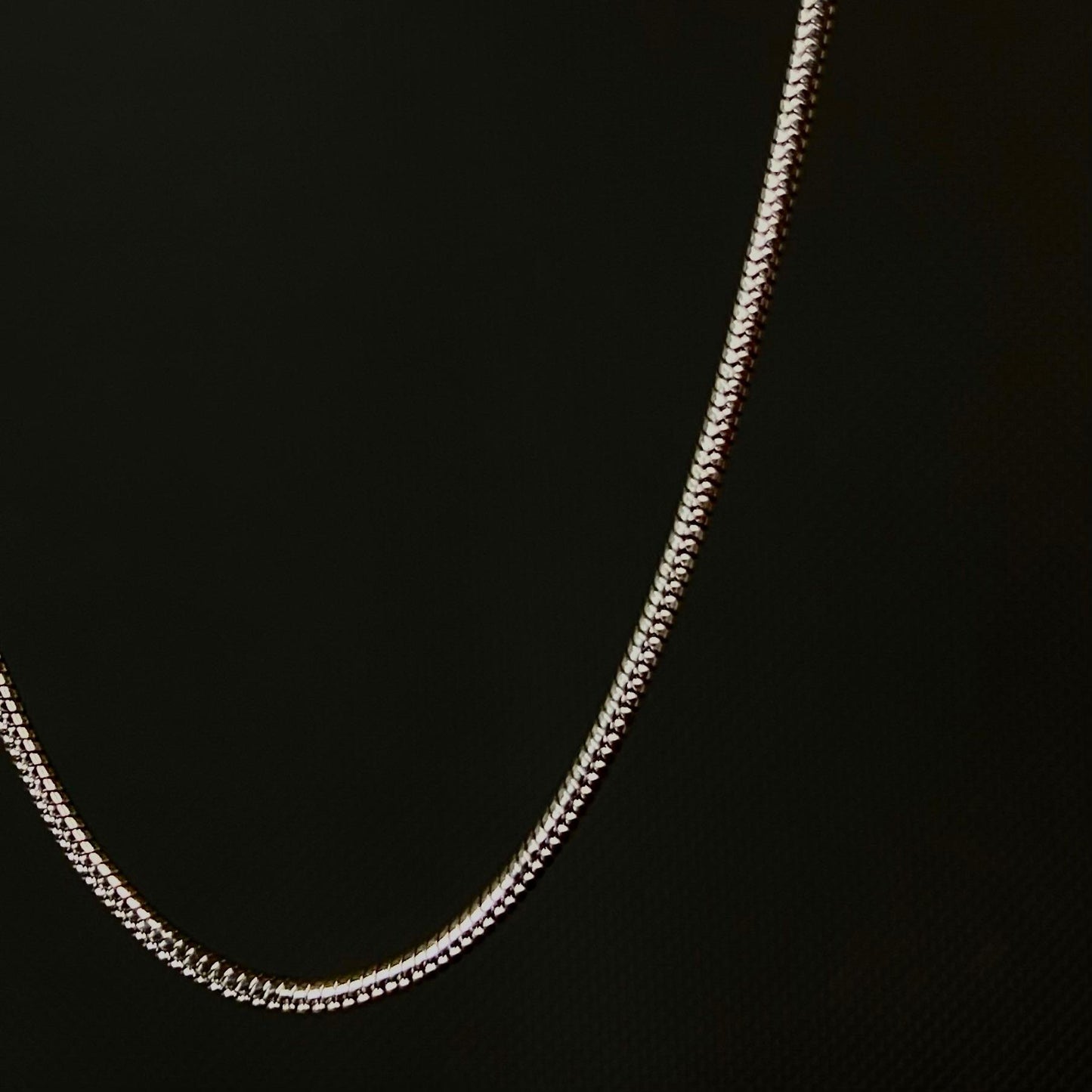 Snake Silver SST Men's Chain 2mm