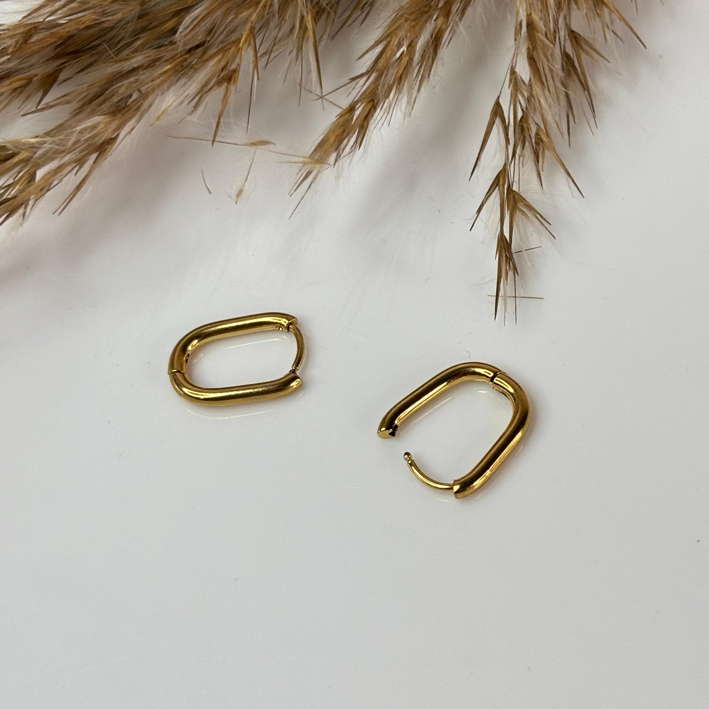Amanda Hoops