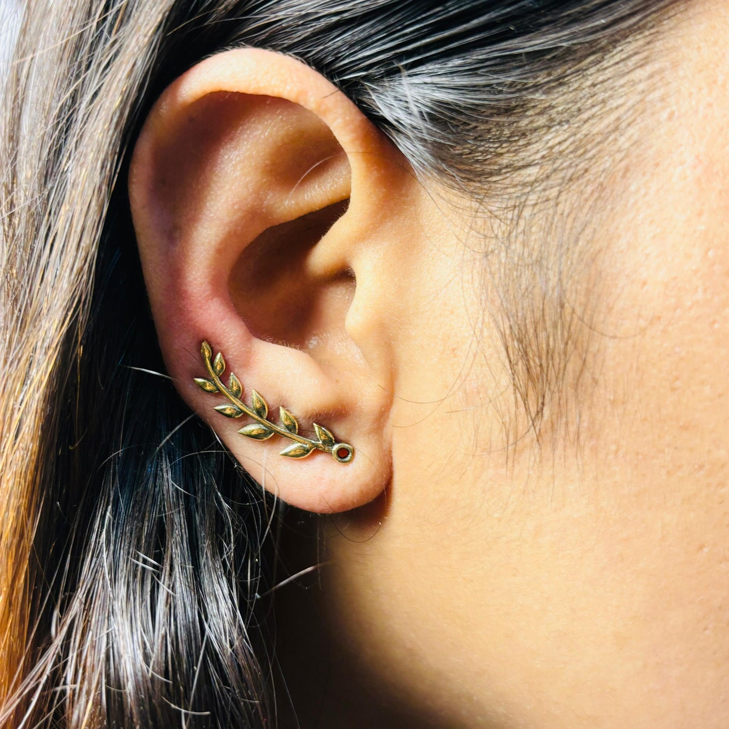 Bel Ear Climber