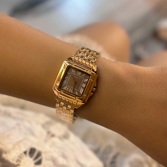 Crtr Brown Dial Watch