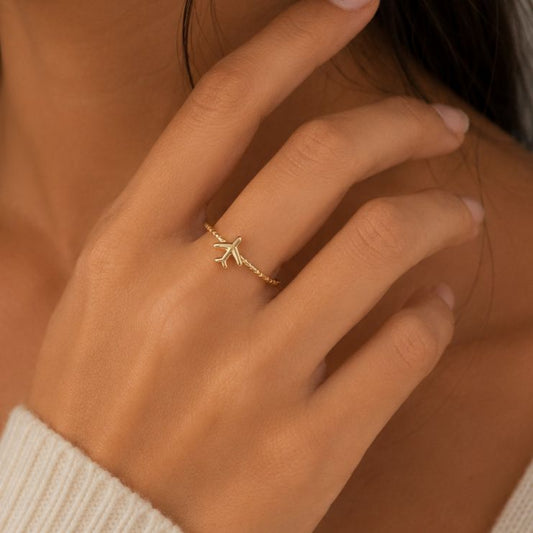The Flying Ring