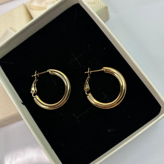 Small zoe Hoops