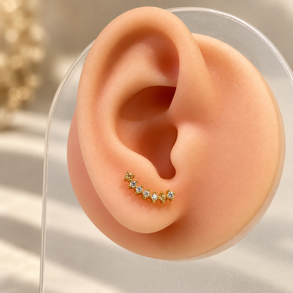 Cosmic Ballback Studs