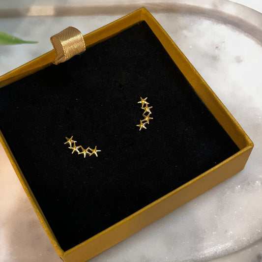 Stellar Climber Earrings