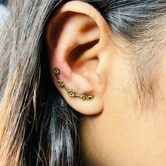 Meher Ear Climber