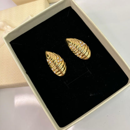 Sea Shell Earrings