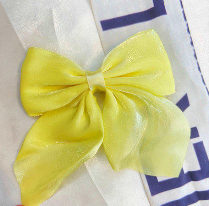 Glossy Bow Clip