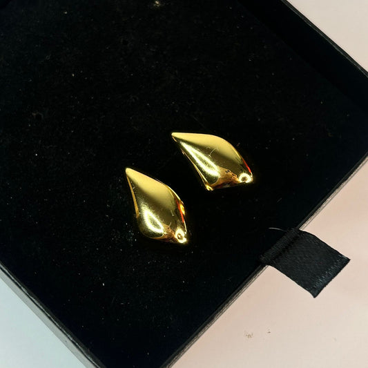 Bottega Earrings