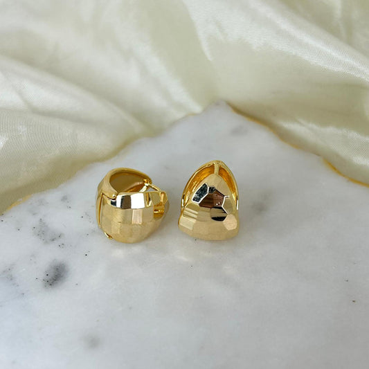 Golden Shield Earrings